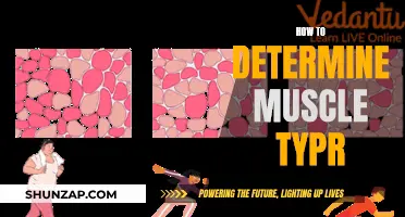 Understanding Muscle Fibers: Unlocking Your Body's Unique Blueprint