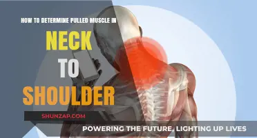 Identifying a Pulled Muscle: Neck to Shoulder Pain Relief Guide