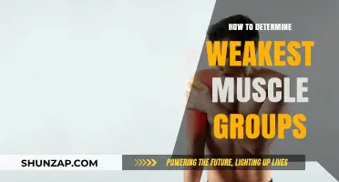 Identifying Weak Muscle Groups: A Comprehensive Guide to Strength Assessment