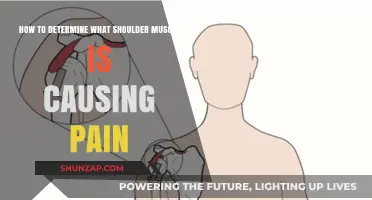 Shoulder Pain: Which Muscle is to Blame?