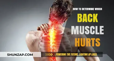 Pinpointing Pain: A Guide to Identifying Back Muscle Aches