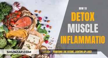 Muscle Inflammation: Detoxing for Optimal Health