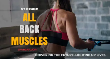 Unlocking Strength: A Comprehensive Guide to Developing Your Back Muscles