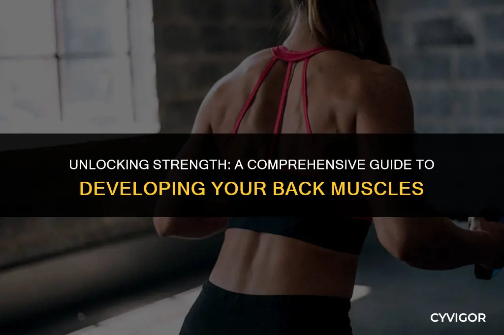 how to develop all back muscles