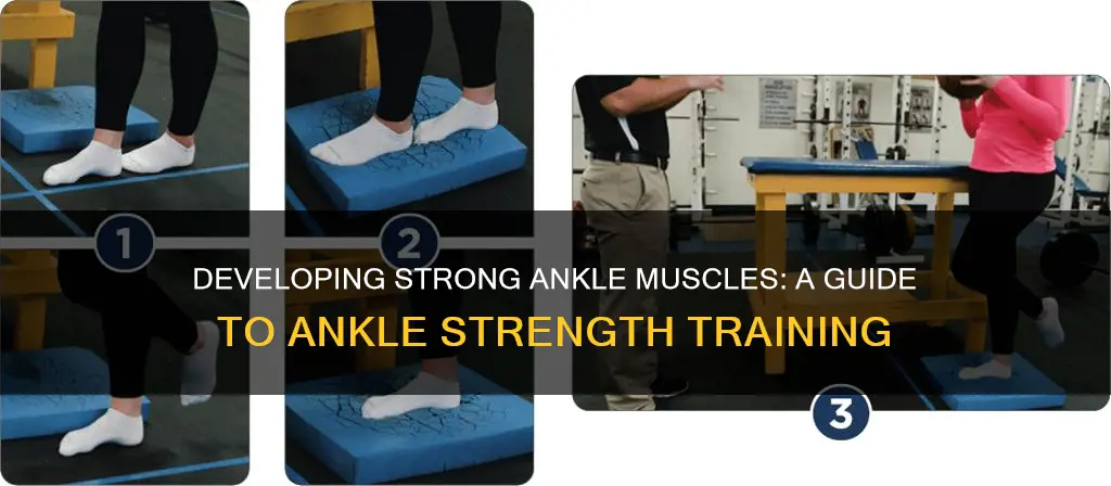 how to develop ankle muscles