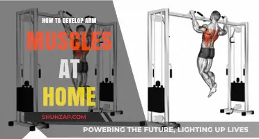 Effective Home Workouts to Build Stronger, Toned Arm Muscles