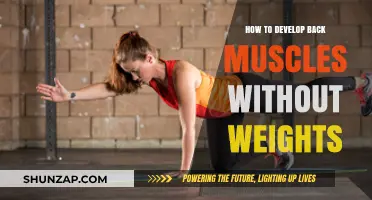 Building a Stronger Back: Effective Muscle Development Without Weights