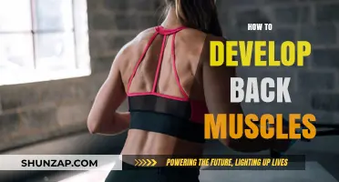 Strengthen Your Back: A Guide to Developing Powerful Muscles