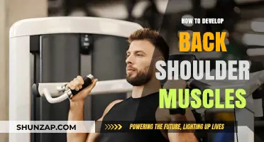 Strengthening Your Back Shoulders: A Comprehensive Guide