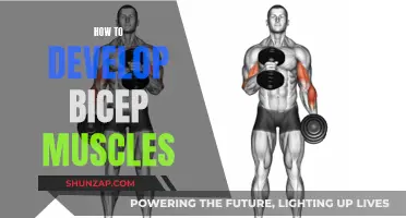 Develop Bicep Muscles: Effective Strategies for Growth