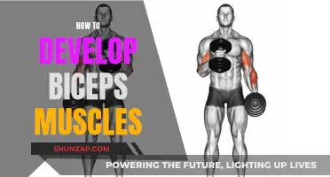 Building Biceps: A Guide to Effective Muscle Development