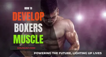 Developing a Boxer's Physique: Secrets to Success