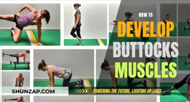 Developing Glutes: Effective Exercises for Buttocks Muscles