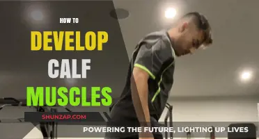 Building Strong Calves: A Comprehensive Guide to Calf Muscle Development
