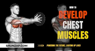 Developing Chest Muscles: A Guide to Building a Powerful Physique