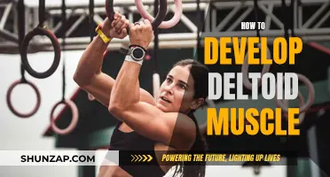 Develop Deltoid Muscles: The Ultimate Guide to Shoulder Success
