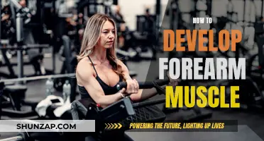Develop Strong Forearms: Exercises for Powerful Muscle Gain