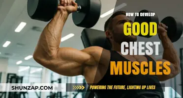 Effective Chest Workouts: Building Strength and Definition for a Powerful Physique