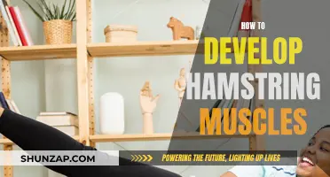 Develop Strong Hamstrings: Workout and Training Tips