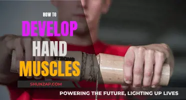 Developing Hand Muscles: Strategies for Strength and Control