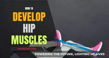 Developing Powerful Hip Muscles: A Guide to Strength and Stability