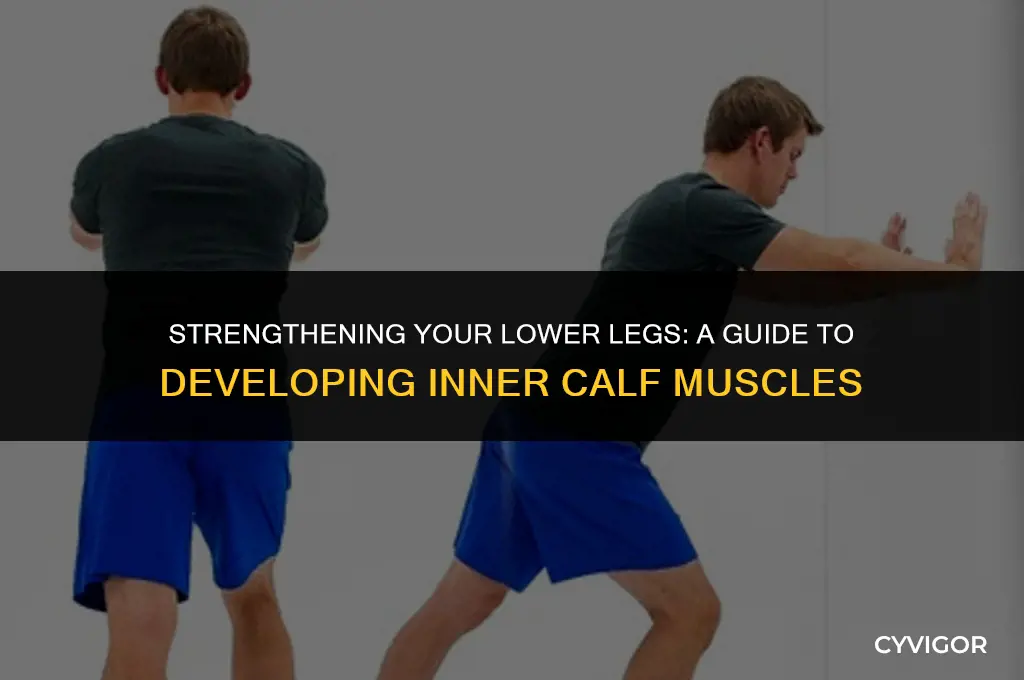 how to develop inner calf muscles