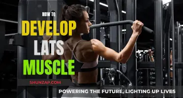 Develop V-shaped Physique: Targeting Latissimus Dorsi Muscle