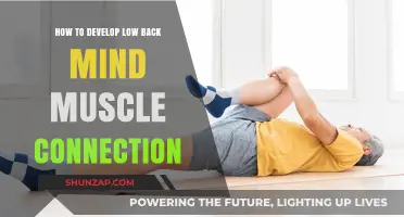 Strengthening Your Core: A Guide to Low Back Mind-Muscle Connection