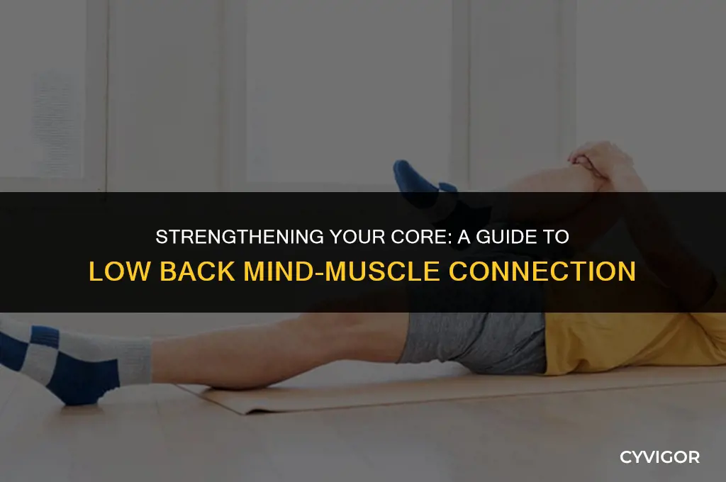 how to develop low back mind muscle connection