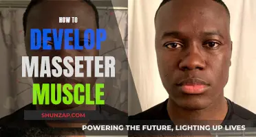 Developing the Masseter Muscle: Exercises for a Stronger Jawline