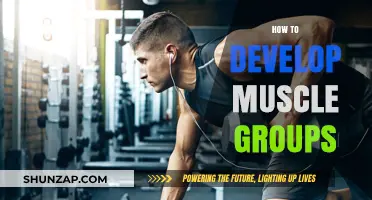 Effective Strategies for Developing Muscle Groups: A Comprehensive Guide