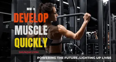 Building Muscle Fast: Effective Strategies for Quick Results