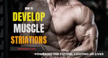 Developing Muscle Striations: Unlocking the Ultimate Definition