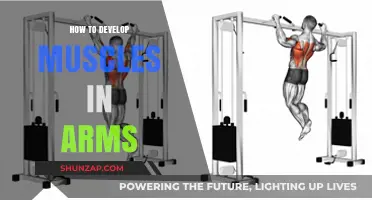 Effective Arm Muscle Building: Tips and Exercises for Stronger Arms