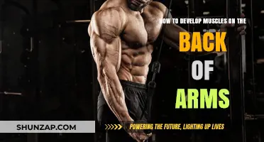 Sculpting Strong Triceps: A Guide to Toned Arm Muscles
