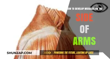 Sculpt Strong Arm Muscles: Effective Side-Arm Development Techniques Revealed