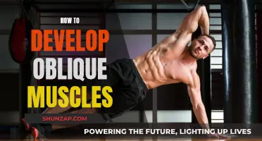 Developing Oblique Muscles: Secrets to Success
