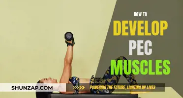 Develop Pec Muscles: Strategies for a Powerful Chest