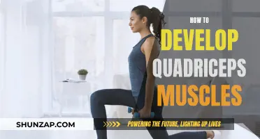 Building Powerful Quadriceps: A Comprehensive Guide