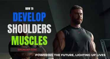 Shoulder Muscle Development: Strategies for Effective Growth