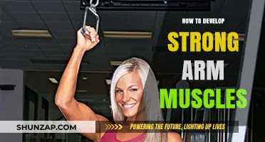Build Powerful Arms: Effective Techniques for Strong, Defined Muscles