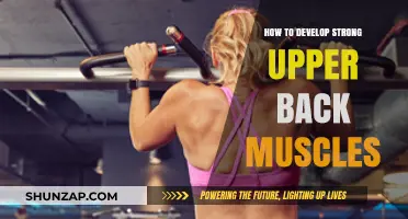 Building Strength: A Guide to Developing Powerful Upper Back Muscles