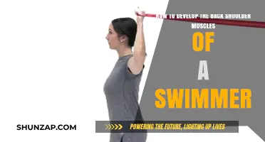 Strengthening Your Back Shoulder Muscles for Swimming Performance