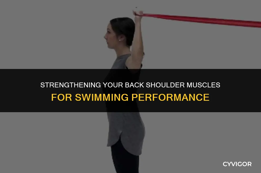 how to develop the back shoulder muscles of a swimmer