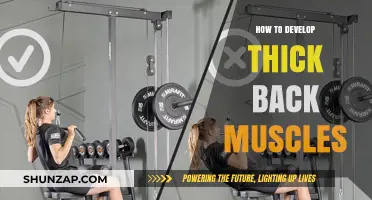 Building a Strong Back: Exercises for Thick, Powerful Muscles