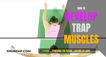 Developing Powerful Trap Muscles: Secrets to Success