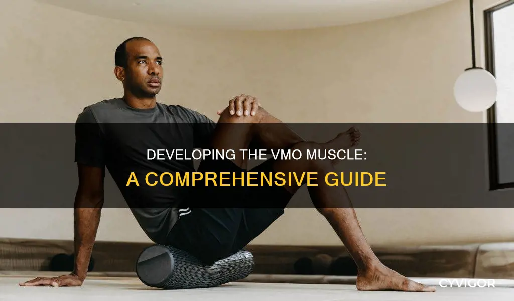how to develop vmo muscle