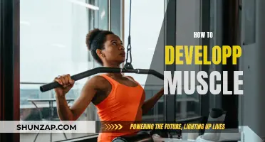 Building Muscle: Effective Strategies for Strength and Growth