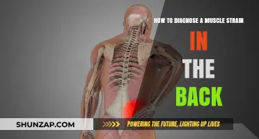 Identifying Back Muscle Strains: A Comprehensive Guide