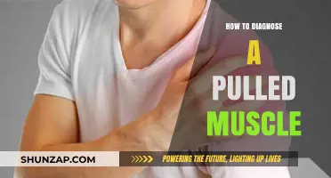 Diagnosing a Pulled Muscle: Symptoms, Causes, and Self-Assessment Tips